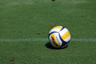 排球赛场焦点！日本队对阵俄罗斯队，压哨绝杀，引爆全场观众欢呼